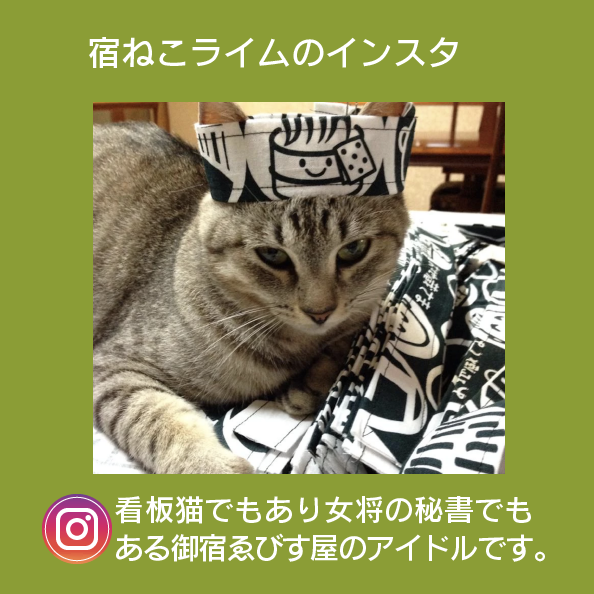 宿ねこライムのインスタ